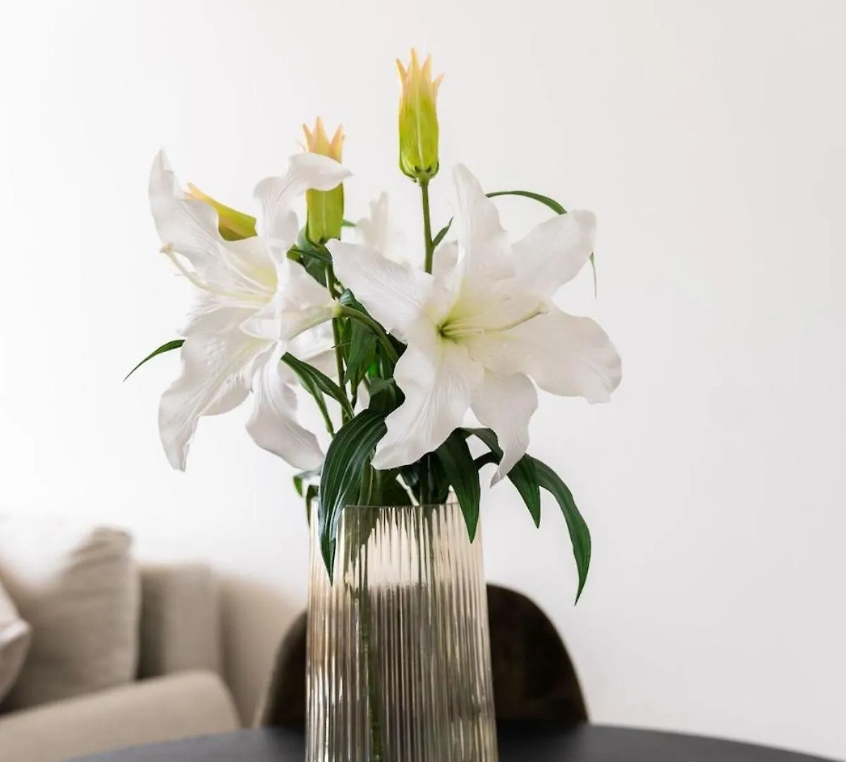 Beautiful One Bedroom Apartment Anversa